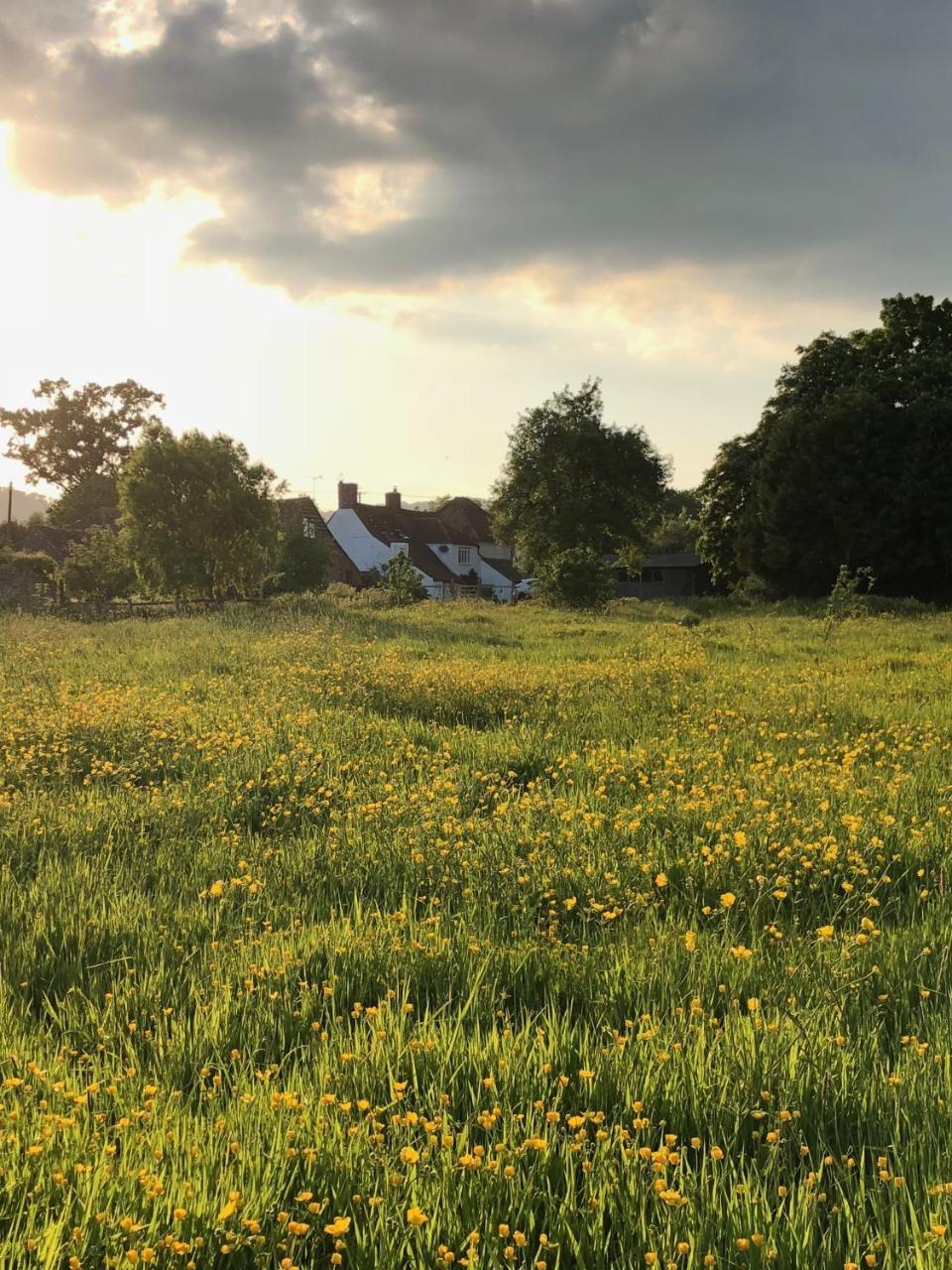 Home Farm Birtsmorton Exteriör bild